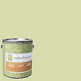 Inspired Flat Interior Paint, Thrive .01, Gallon [並行輸入品]