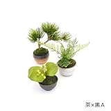 CUPBON ぐいのみ三個セット 茶×黒C 松・吹き流し シノブ 椿つぼみ 盆栽 造花 フェイクグリーン