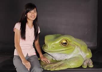 Amazon Co Jp Frpアニマルオブジェ でかいカエル 置物 動物 蛙 かえる 両生類 動物園 店舗 イベント ディスプレイ 実物大 等身大 リアル ホーム キッチン