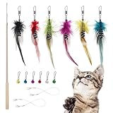 SONGWAY猫 おもちゃ 猫じゃらし ねこ玩具 昆虫 大飛ぶ虫昆虫６個 竿つき