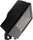 RAB Lighting MEGH250PSQ/PC2 Megaflood 250W Metal Halide HPF Pulse Start with Photocell Trunnion [並行輸