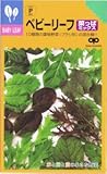 【種子】ベビーリーフ・菜っぱミックス 20ml
