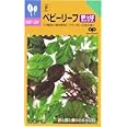 中原採種場 ベビーリーフ 菜っぱミックス 1L