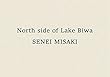 North side of Lake Biwa (English Edition)