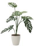 GREEN-m/観葉植物 造花 光触媒 グリーン モンステラ 75cm 225A7527