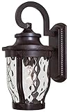 Minka Lavery 8762-166-PL 1 Light Outdoor Wall Mount, Corona Bronze Finish [並行輸入品]