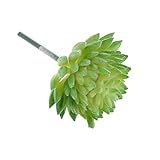 SONONIA　2個入り　人工多肉植物　ミニ　蓮の花　植物　ホーム　菜園　バルコニー　装飾　グリーン