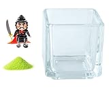 花市場直送便 ミニチュアガラス 織田信長 & カラーサンド ライトグリーン & 植え込み用グラス ニューブロックS