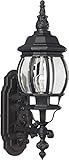 Forte Lighting 1701-01-04 Exterior Wall Light with Clear Beveled Glass Shades, Black [並行輸入品]