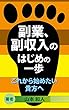 副業、副収入のはじめの一歩: これから始めたい貴方へ (ビジネス書)