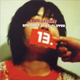 SPACESHIP OF 13.FLIPPER