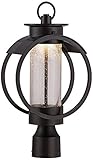 Designers Fountain LED32826-BNB Arbor 9 Inch Led Post Lantern [並行輸入品]