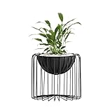 [roomnhome] スタンドプランター 植木鉢 モノスタンド植木鉢 サボテン鉢/花鉢 容器 プランター E Type