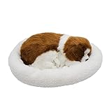 居眠り 犬 ビーグル（白と茶色） 約25cm