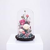 DULPLAY プリザーブドフラワー,バレンタインの日, Diy, プリザーブドフラワー,透明なガラスカバー,枯れることはありません。 結婚 周年,誕生日 -C 29x17cm(11x7inch)