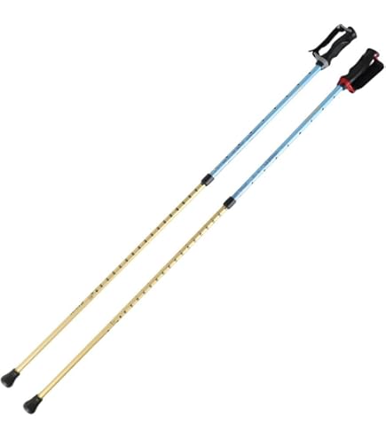 Amazon.co.jp: [ sinano Walking poles そふと安心2本杖 @9500] シナノ