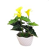 Christmas Xmas Decorations Artificial Flowers Elegant PU Calla lily in PotsReal like Artificial Call