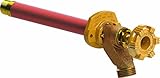 Woodford 14P-24-PH Wall Faucet [並行輸入品]