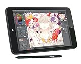 raytrektab DG-D08IWP 筆圧感知ペン付き8インチタブレット