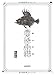 復刻版 麑海魚譜