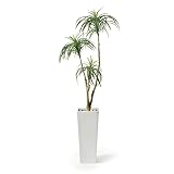 観葉植物 大型 フェイク 造花 ♪【グリーンパーク】FRP H50×ユッカ＜タイプ：リバーロック/ホワイトベース＞♪ インテリアグリーン アーティフィシャル