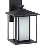 Sea Gull照明8458 single-light Jamestowneアウトドア壁Lantern with Clearベベルガラス 14" Height ブラック 89031BLE-12 1