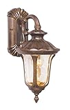 Livex Lighting 7651-50 Outdoor Wall Lantern with Hand Blown Light Amber Water Glass Shades, Moroccan