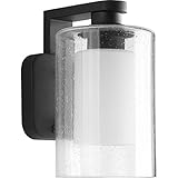 Progress Lighting P6038-31 1 LT Wall Lantern with Etched Opal Glass, 6" [並行輸入品]