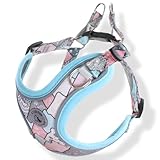 Lil&Fam 犬 ハーネス 小型犬 中型犬 身体に優しい 胴輪 簡単装着 反射材付き かわいい おしゃれ 和モダンリルアンドファム(ブルー, XS)