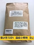 北海道探訪 春よ恋（国産小麦粉春よ恋100％） (5㎏)強力粉 前田産業株式会社