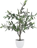 不二貿易 フェイクグリーン インテリアグリーン 人工観葉植物 幅40×奥行40×高さ82㎝ オリーブ 室内 鉢付き 大型 52689