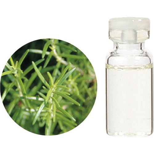 バッジ 敵対的 デジタル アロマ オイル 効能 ローズ マリー Cp Arco Jp