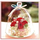 プリザーブドフラワーIPFA プリザーブドフラワー ギフト 『ガラスドーム エレガンス（レッド）』