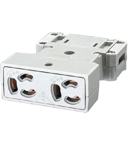 Amazon | 寺田電機製作所(TERADA) ブロックコンセント 2分岐 送り付