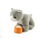 Teeboo USA BB Kidooペット子猫 – ミンクス(グレー)