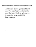 Multi-Scale Convergence of Cold-Land Process Representation in Land-Surface Models, Microwave Remote Sensing, and Field Observations