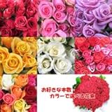 お好きな本数で　選べる花束　プチ　ホワイト　【生花】【お祝い】記念日】【誕生日】【フラワーギフト】【バラ】