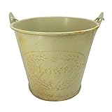 Nice Days（ナイス　ディズ）　ミニ植木鉢　金属植木鉢　多肉植物プランター