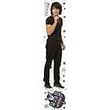ブルーMountain Wallcoverings 31720501 Camp Rock Lifeサイズself-stick壁画