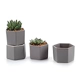 T4U 7CM 陶器ミニ植木鉢 六角形 マット表面 多肉植物 サボテン鉢 フラワーポット プランター容器 灰色 4個入り