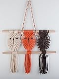 Three Owls Macrame Woven Wall Hanging Art Decor - Cute BOHO Chic Decorations for Baby Nursery Little