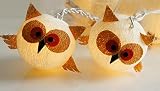 Night Lights Luckyフクロウコットン文字列ライトfor Childern寝室装飾20ライト/設定