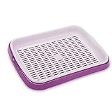 RaiFu 育苗トレー 種まき　ダブルレイヤー 発芽 野菜プレート バッド 苗トレイ ビーン スプラウト ソーレス ツール パープル スプラッシュディッシュ