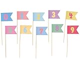 バヴィットパーティー ピック ナンバーB (L) 10本入