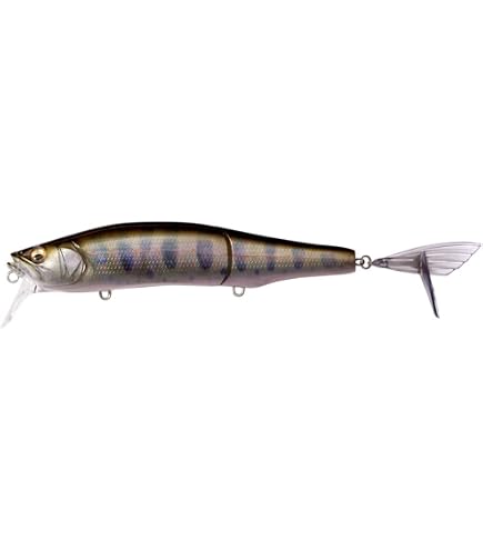 Amazon.co.jp: メガバス(Megabass) GORHAM 147F SW FA イワシ