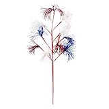 Cypressホームレッド、ホワイト、ブルー花火パーティーピック