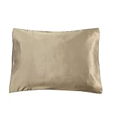 Lilysilkシルク枕カバーベビー幼児旅行サイズ19匁シルク100 %低刺激性2個入り 13''x18'' ベージュ 3101-05-2