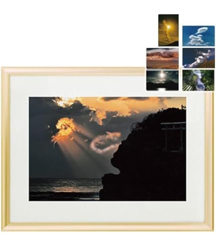 Amazon.co.jp: 秋元隆良 奇跡の写真 ｢金龍｣【龍と鳳凰六景カード特典付