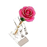 ysber 24 KゴールドRealローズフラワー& Eternal Goldenメッキローズwith Clear Display Stand inギフトボックスBest Romantic Lovin