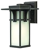 Hinkley Lighting 2230OZ Manhattan Outdoor 1-Light Lantern [並行輸入品]